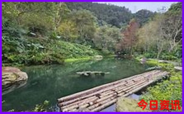 国内夏天去哪凉快